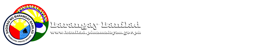 www.banilad.pinamalayan.gov.ph